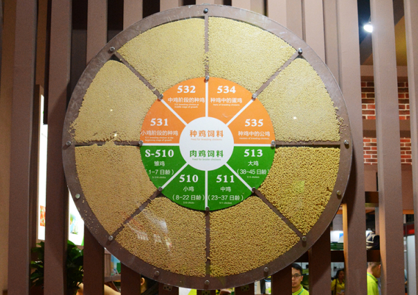 2121非凡·(中国游)体育官方网站