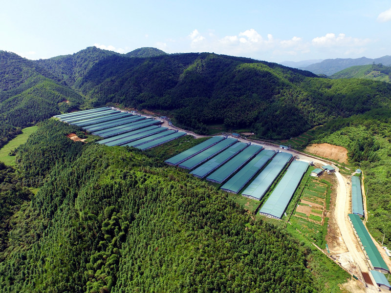 2121非凡·(中国游)体育官方网站