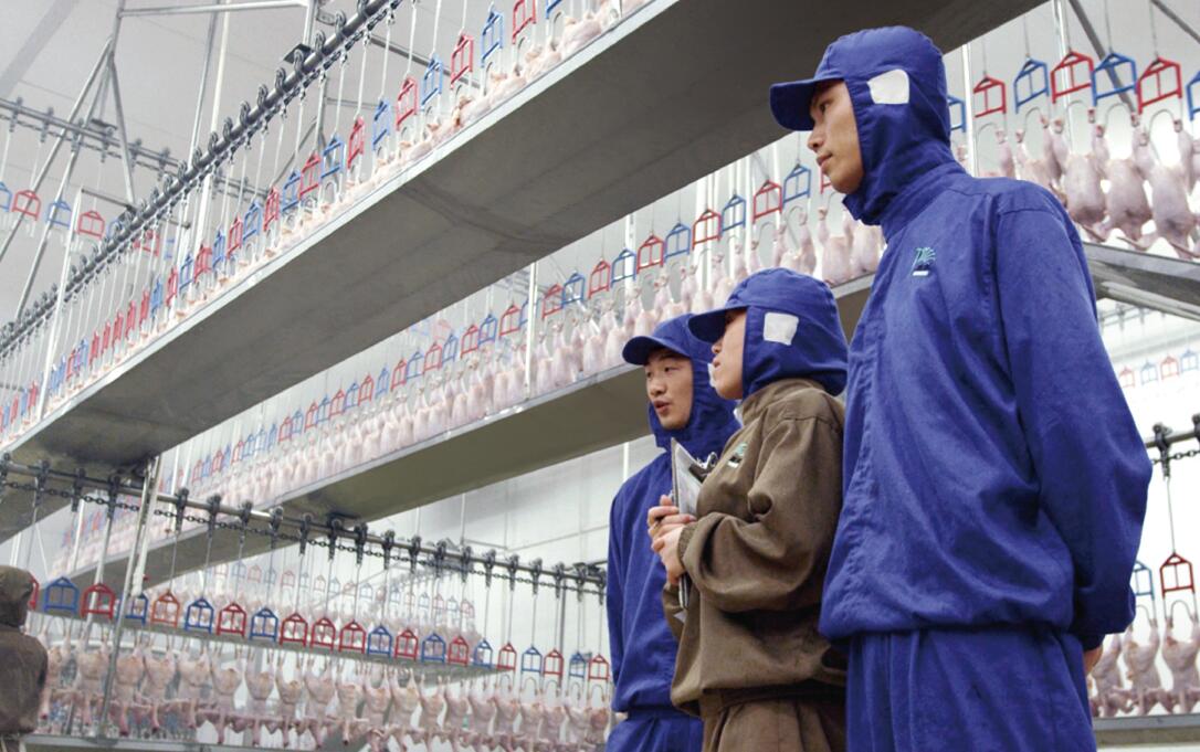 2121非凡·(中国游)体育官方网站