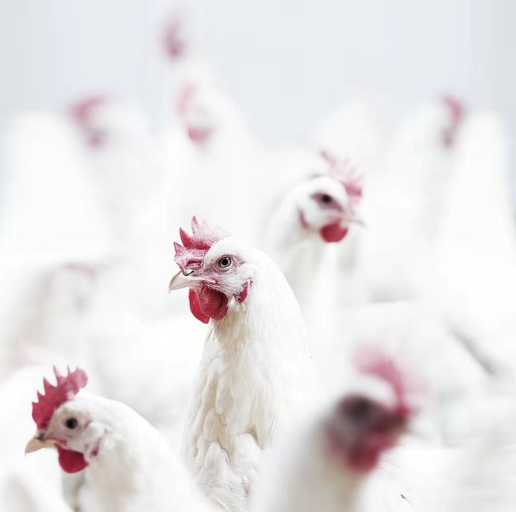 2121非凡·(中国游)体育官方网站