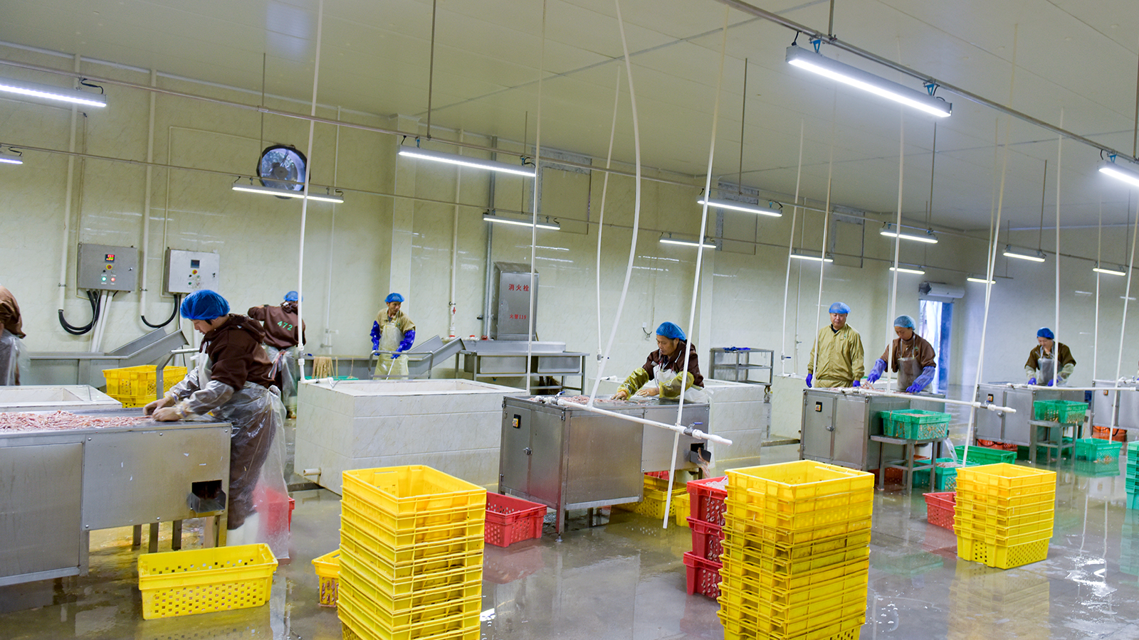 2121非凡·(中国游)体育官方网站