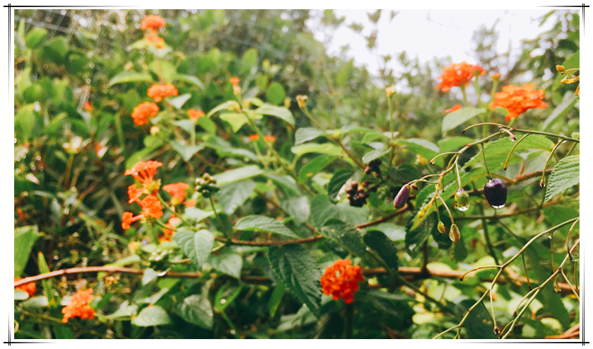 2121非凡·(中国游)体育官方网站