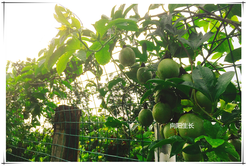 2121非凡·(中国游)体育官方网站