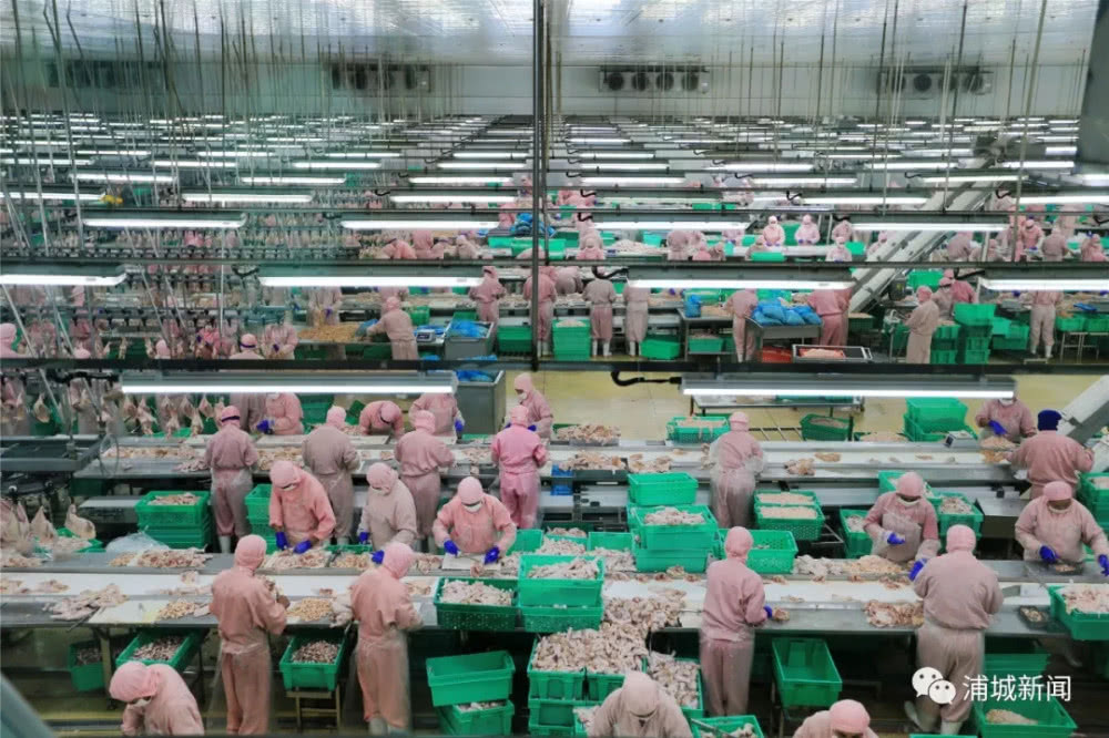 2121非凡·(中国游)体育官方网站