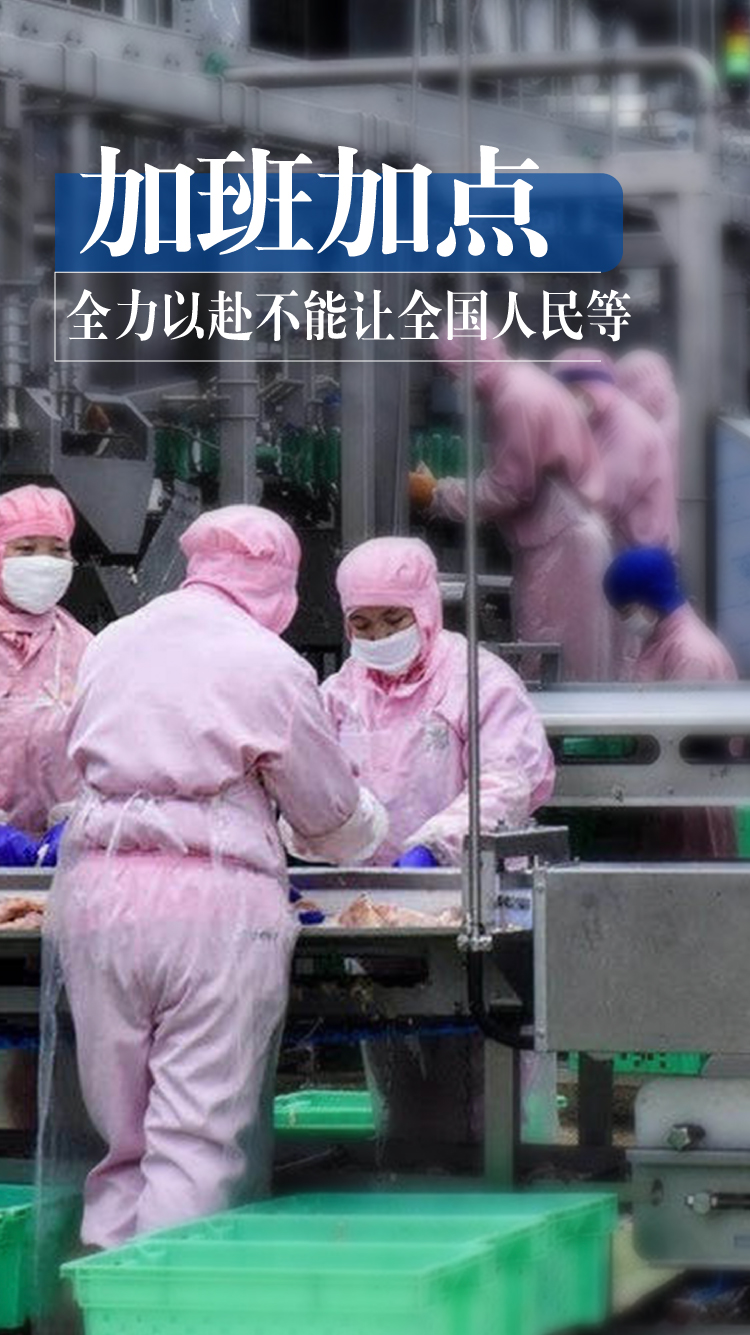 2121非凡·(中国游)体育官方网站