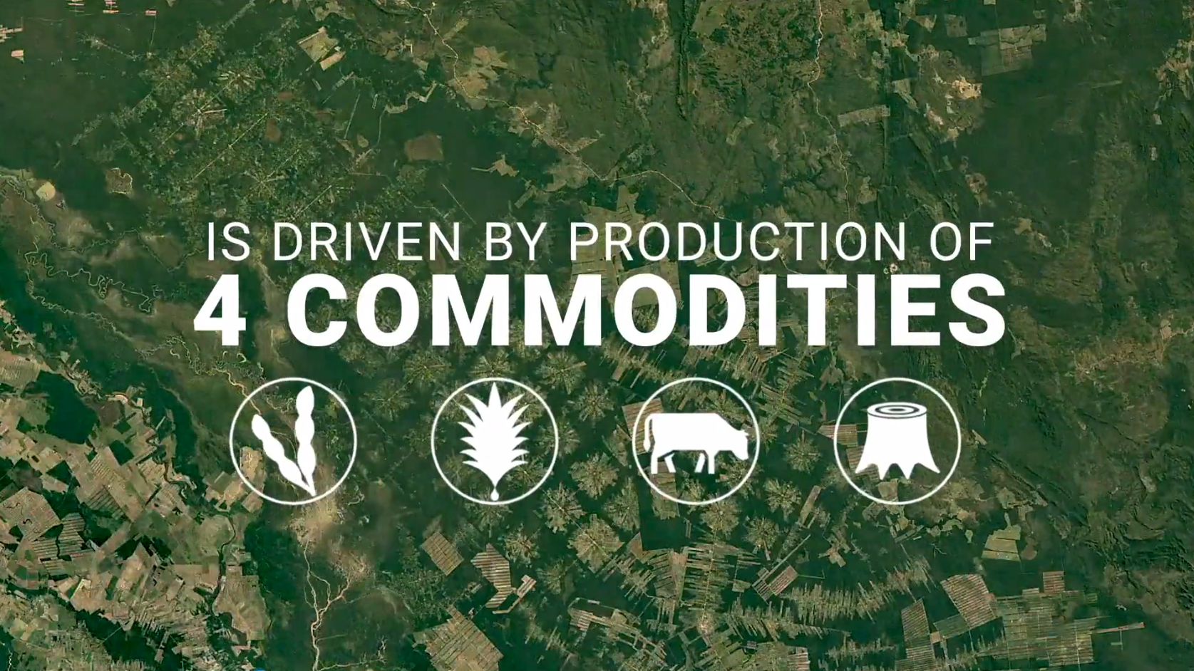 2121非凡·(中国游)体育官方网站