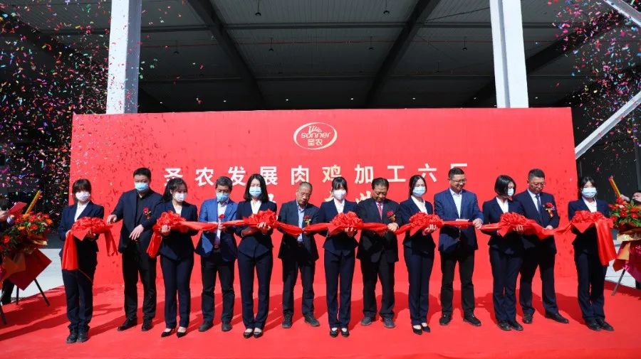 2121非凡·(中国游)体育官方网站