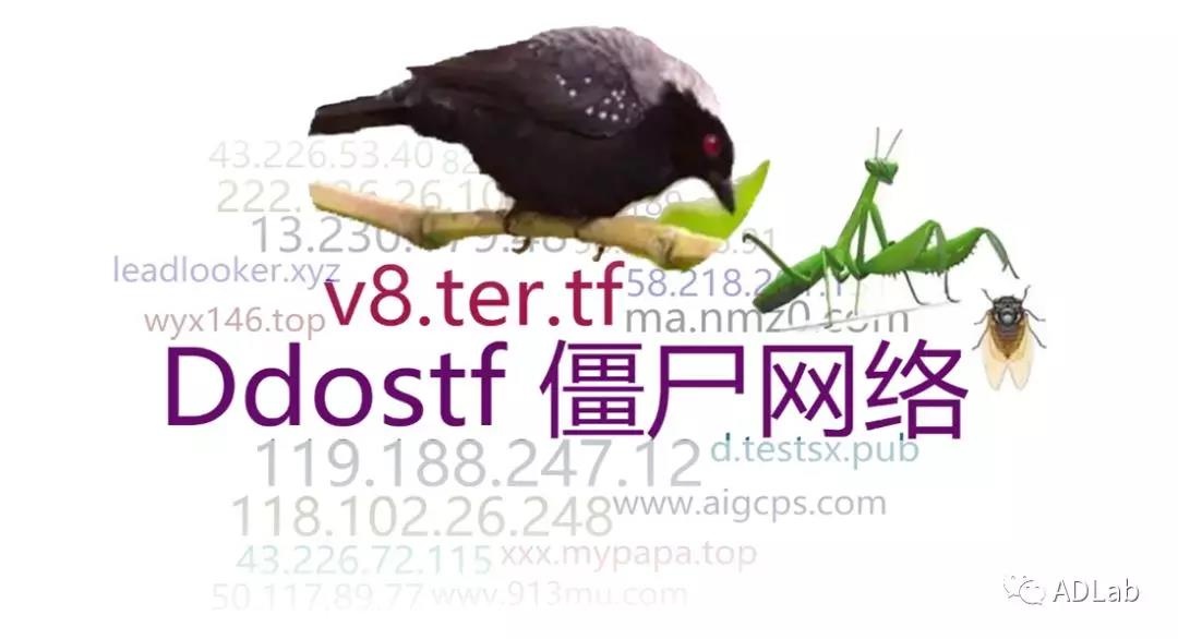 Z6��������ʱ���й������ٷ���վ