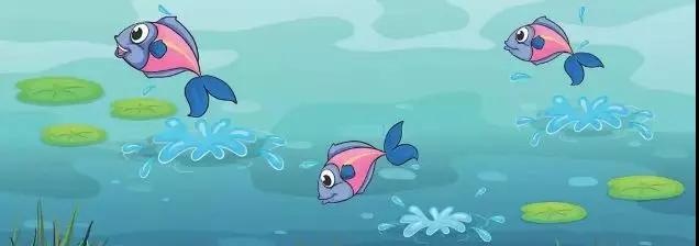 Z6��������ʱ���й������ٷ���վ